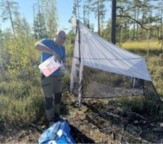 Malaise trap in the burn