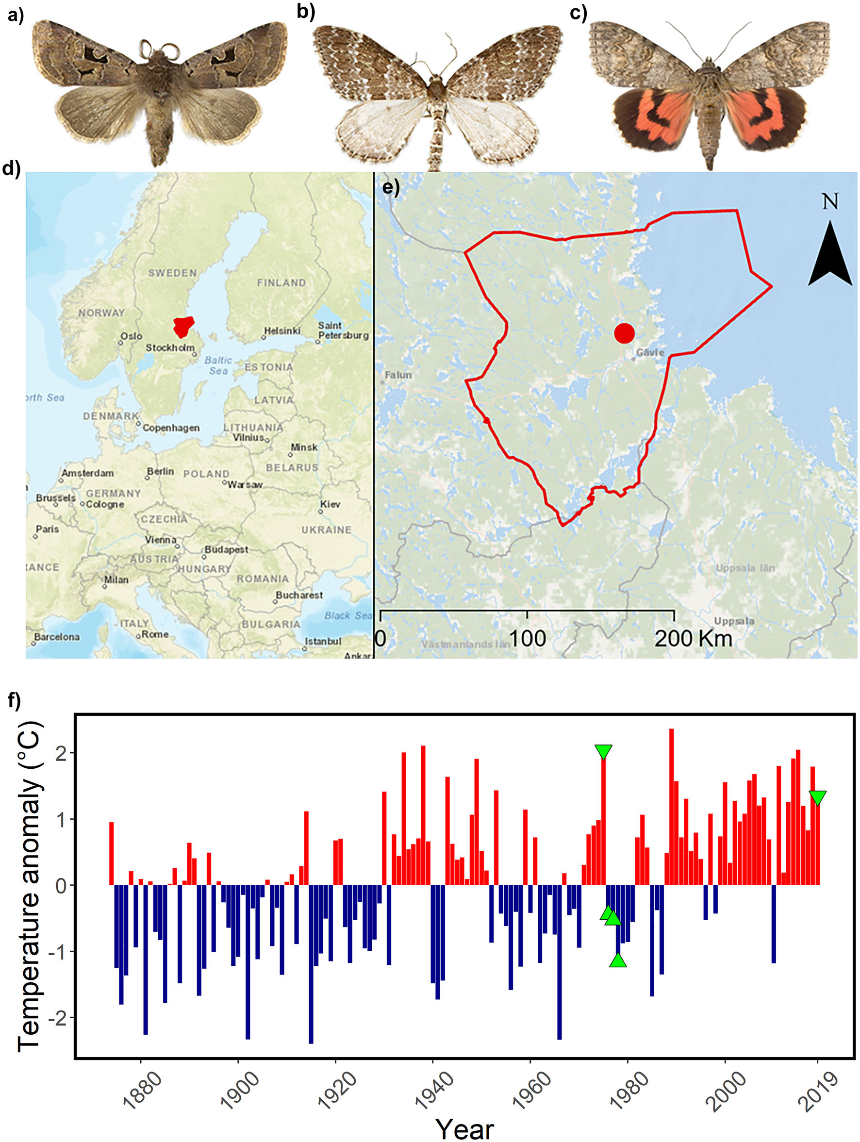 Figure from: Positive shifts in species richness and abundance of moths over five decades coincide with community-wide phenotypic trait homogenisation.