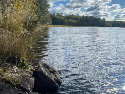 Rocky shoreline with birch trees and reeds along a calm blue lake under partly cloudy sky