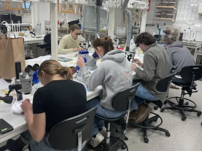 Students and stereo microscopes