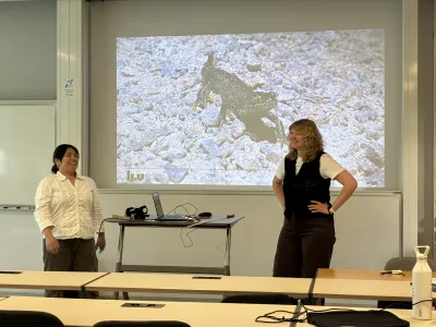 Bachelor students present their thesis projects