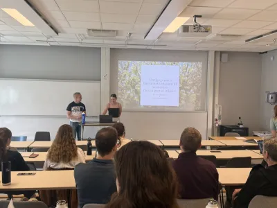 Bachelor thesis presentation