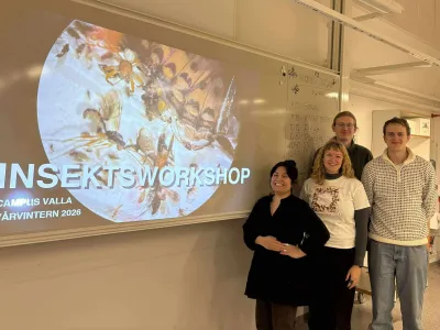 Insect workshop arranged by students at Linköping University!