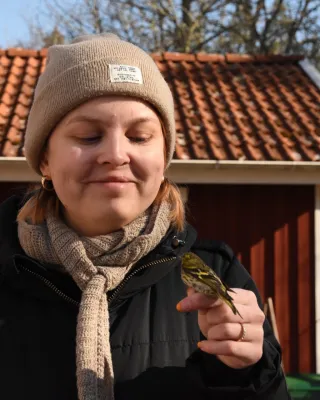 Julia Sidestål
