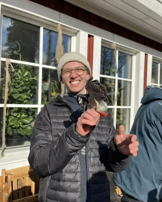 Kåre