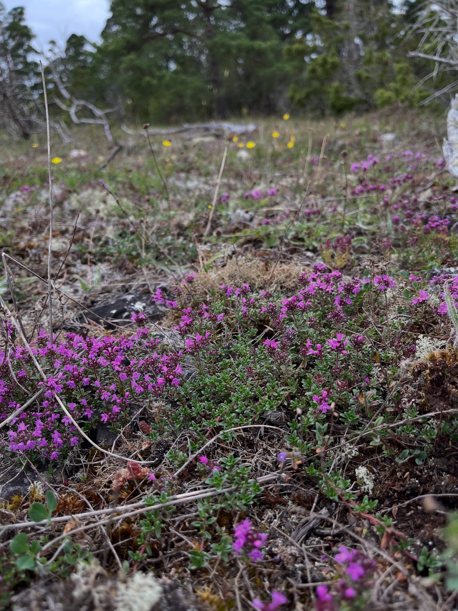 E0B22101-A34B-4496-8980-5BAA13BD1124